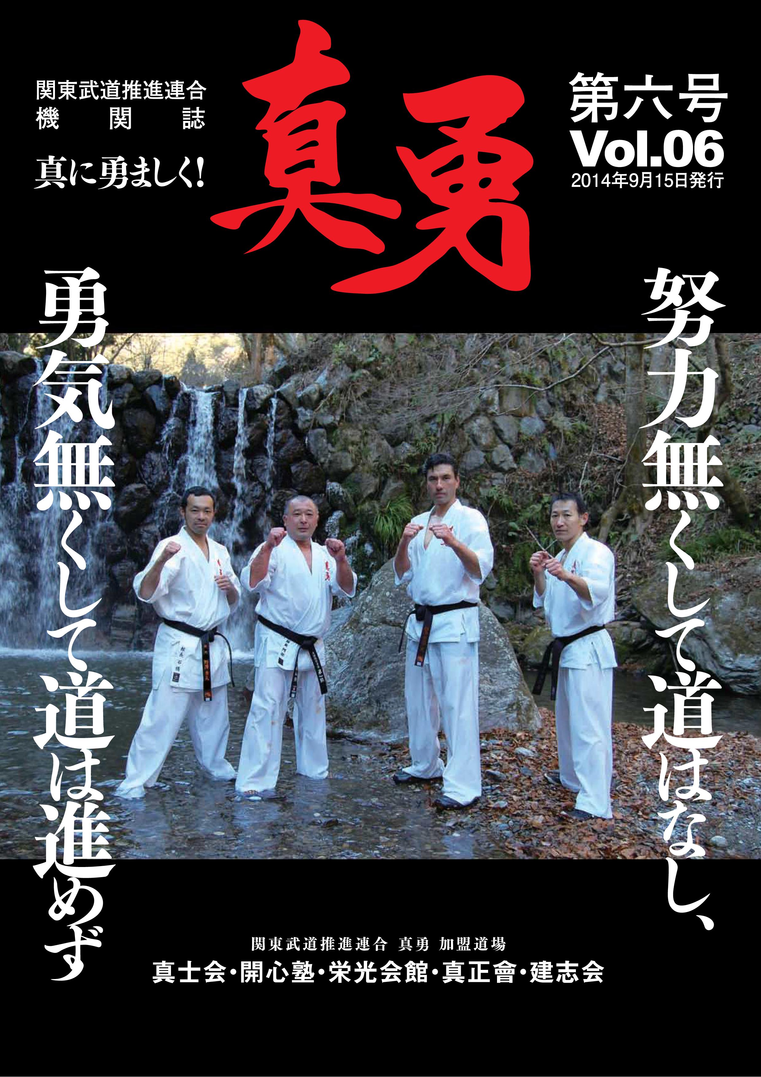 第6回真勇カップ(2014) 
											パンフレット